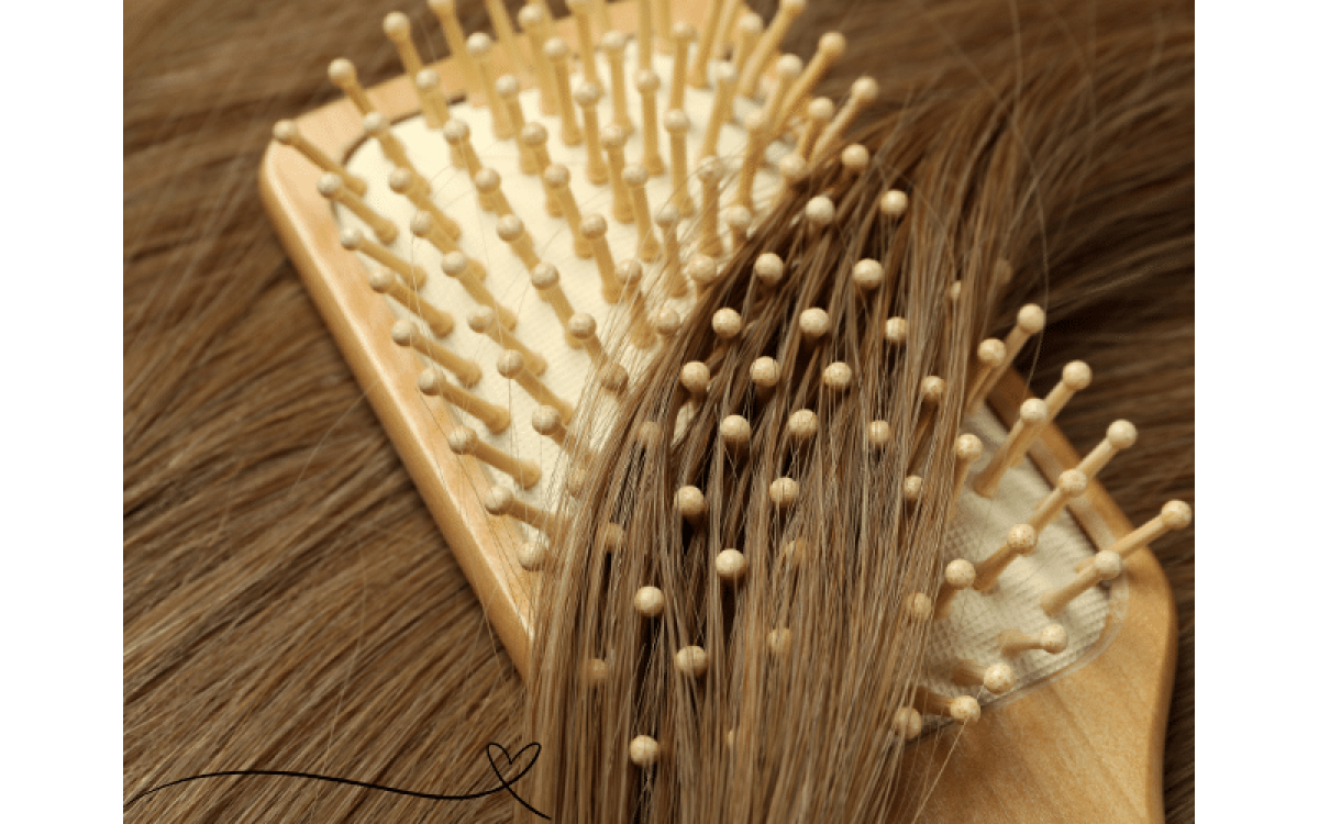 Different Types of Hair Brushes