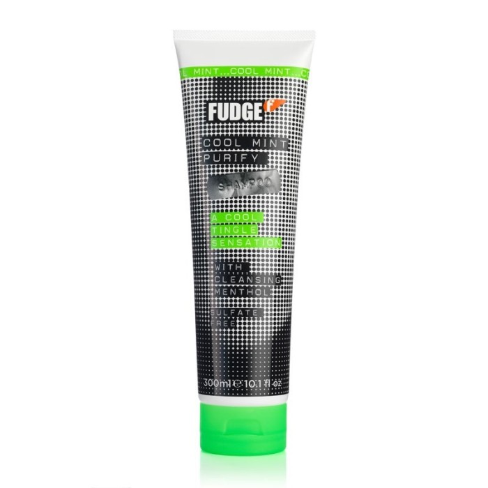 Fudge Cool Mint Purify Shampoo