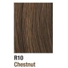 Hairdo Jessica Simpson The Fringe Human Hair Clip-In Extensions Chestnut Brown