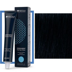 PCC Permanent Color Creme 60ml 1-1 Black Ash