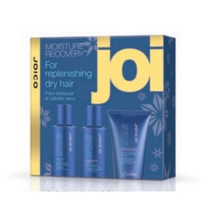 Joico Moisture Recovery Travel Kit