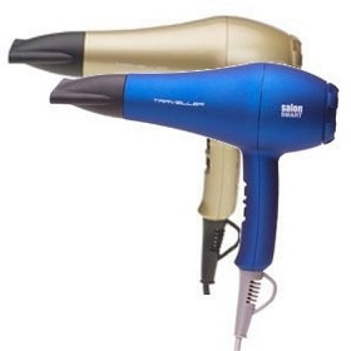 Salon Smart Dual Voltage Professional Dryer