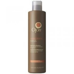 Damage Reverse Restorative Shampoo