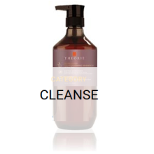 Theorie Cleanse