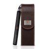 Theorie SAGA II Classic Titanium Flat Iron