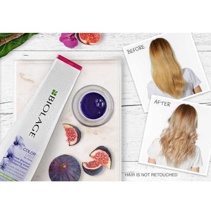 Matrix Biolage ColorLast Purple Shampoo