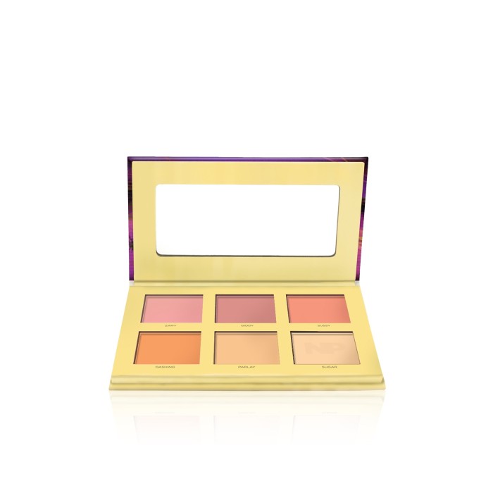Napoleon Perdis Blush Engineer Palette