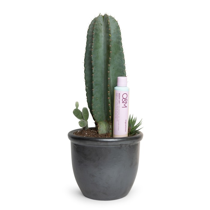 O&M Original Mineral Desert Dry Volumising Dry Texture Spray