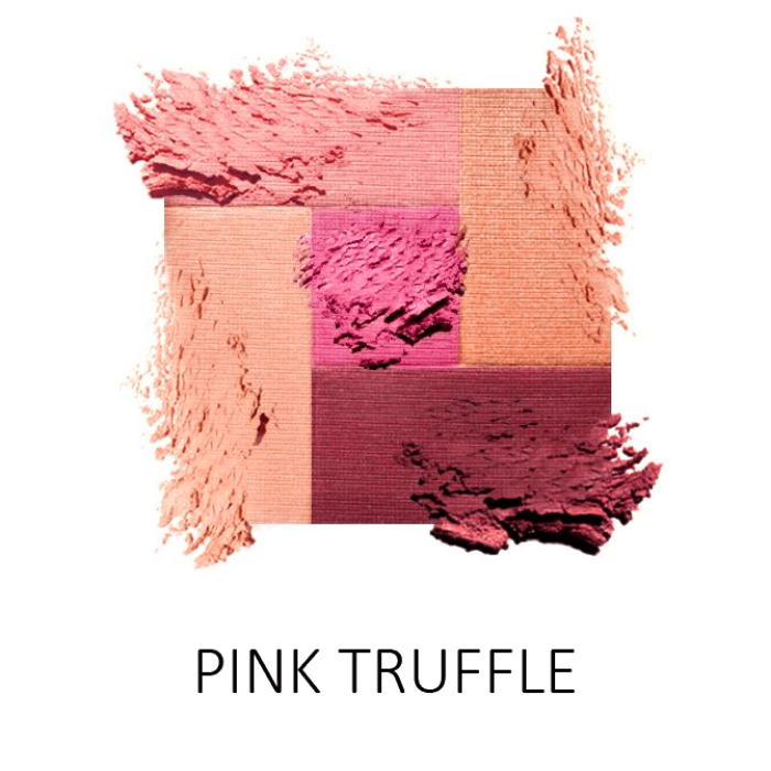 Palladio 2-in-1 Mosaic Powder