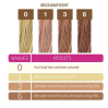 Punky Colour 3-in-1 Color-Depositing Shampoo + Conditioner - Mochanificent
