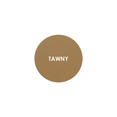 Dual Wet & Dry Foundation Tawny