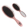 Wet Brush Detangler and Mini Pop Fold Set