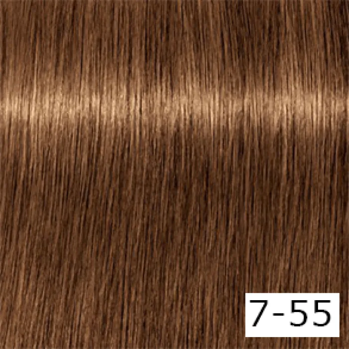 color-13505