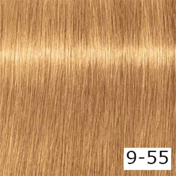 color-20066