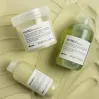 Davines Momo Hair Potion