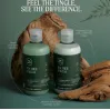 Paul Mitchell Tea Tree Special Shampoo