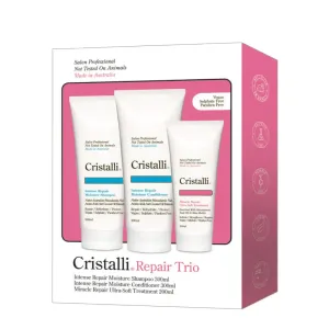 Repair Trio 3 items
