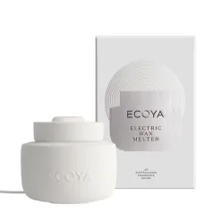Electric Wax Melter 