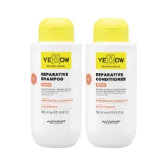 by Alfaparf Group - Repair Reparative Shampoo & Conditioner Duo (2 items)