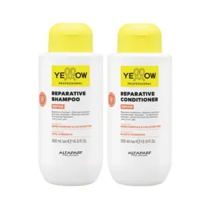 by Alfaparf Group - Repair Reparative Shampoo & Conditioner Duo (2 items)